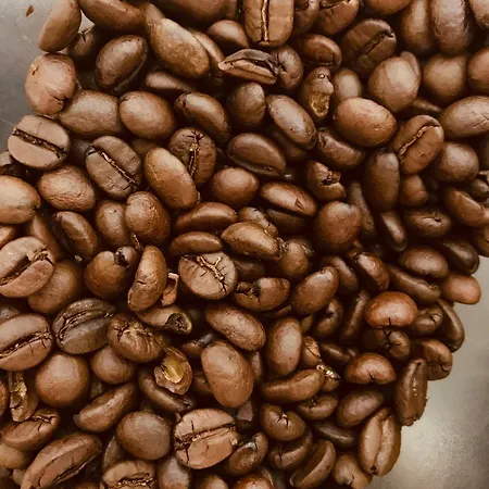 卡门维拉酒店 3* 马尔切西内