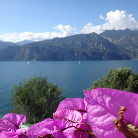 酒店 卡门维拉酒店