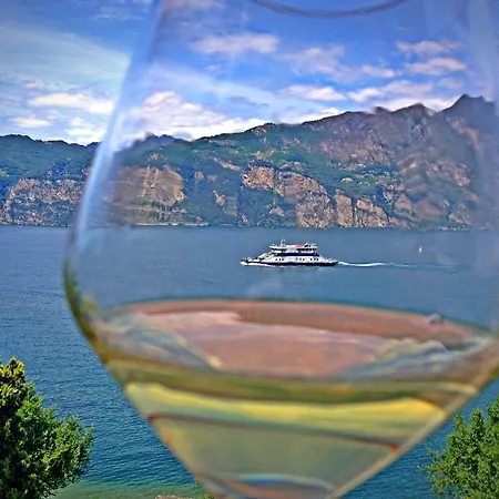 酒店 卡门维拉酒店