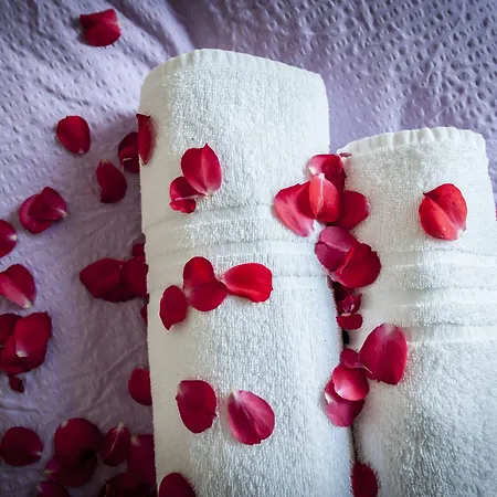 酒店 卡门维拉酒店 3*